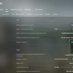 Ustawienia gry CS:GO: aby włączyć konsolę, wybierz "Gra", a następnie "Włącz konsolę" i ustaw na "Tak".