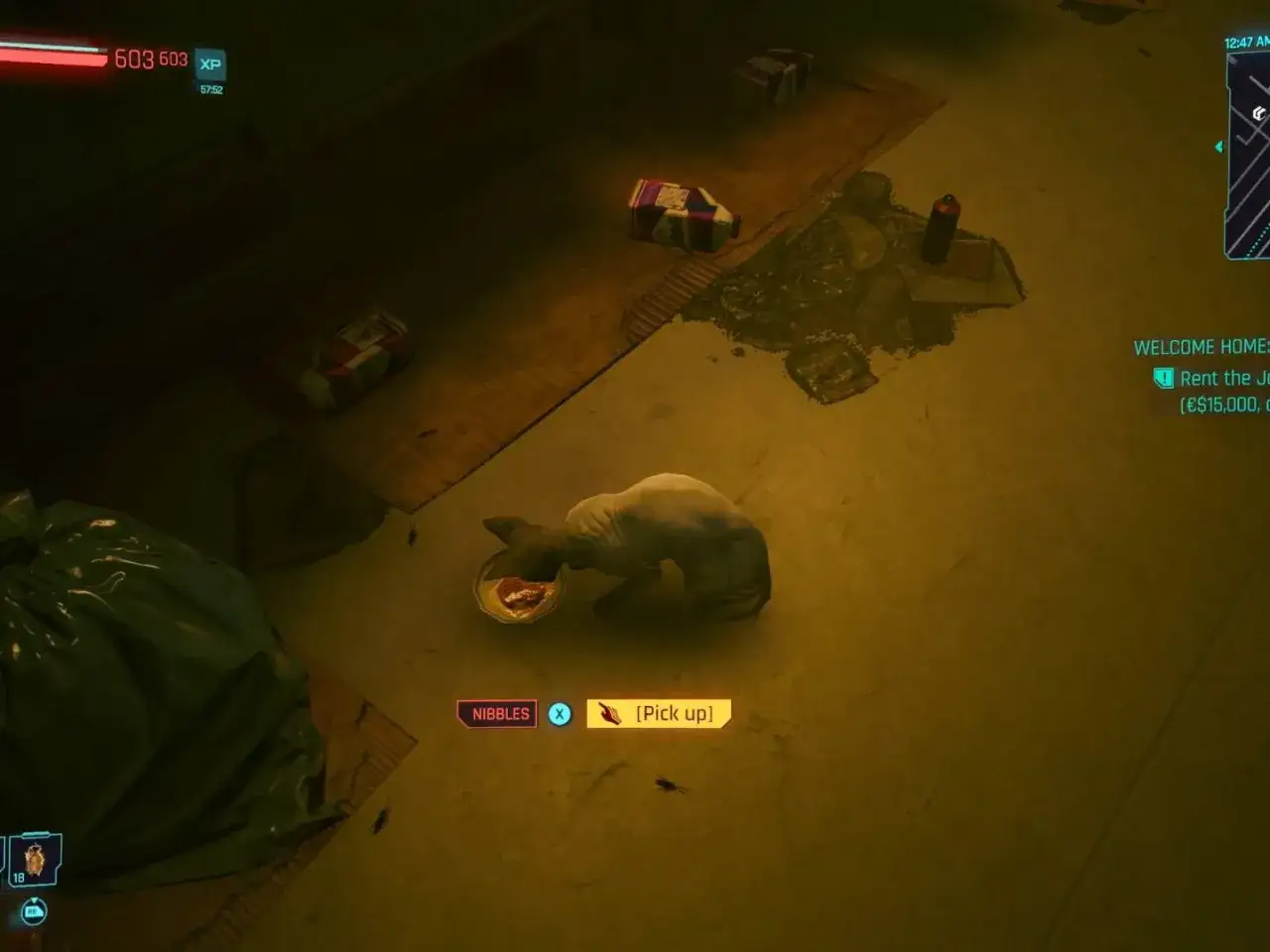 Cyberpunk kot, łysy i wychudzony, je z miseczki na brudnej podłodze. Obok leży worek na śmieci.
