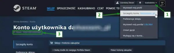Co to Steam ID i dlaczego jest kluczowy dla Twojego konta?